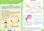 Estimation of rice response to P fertilizer