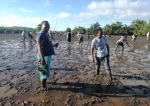 Reboisement Mangrove