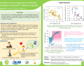 Estimation of rice response to P fertilizer