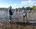 Reboisement Mangrove