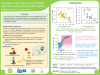 Estimation of rice response to P fertilizer